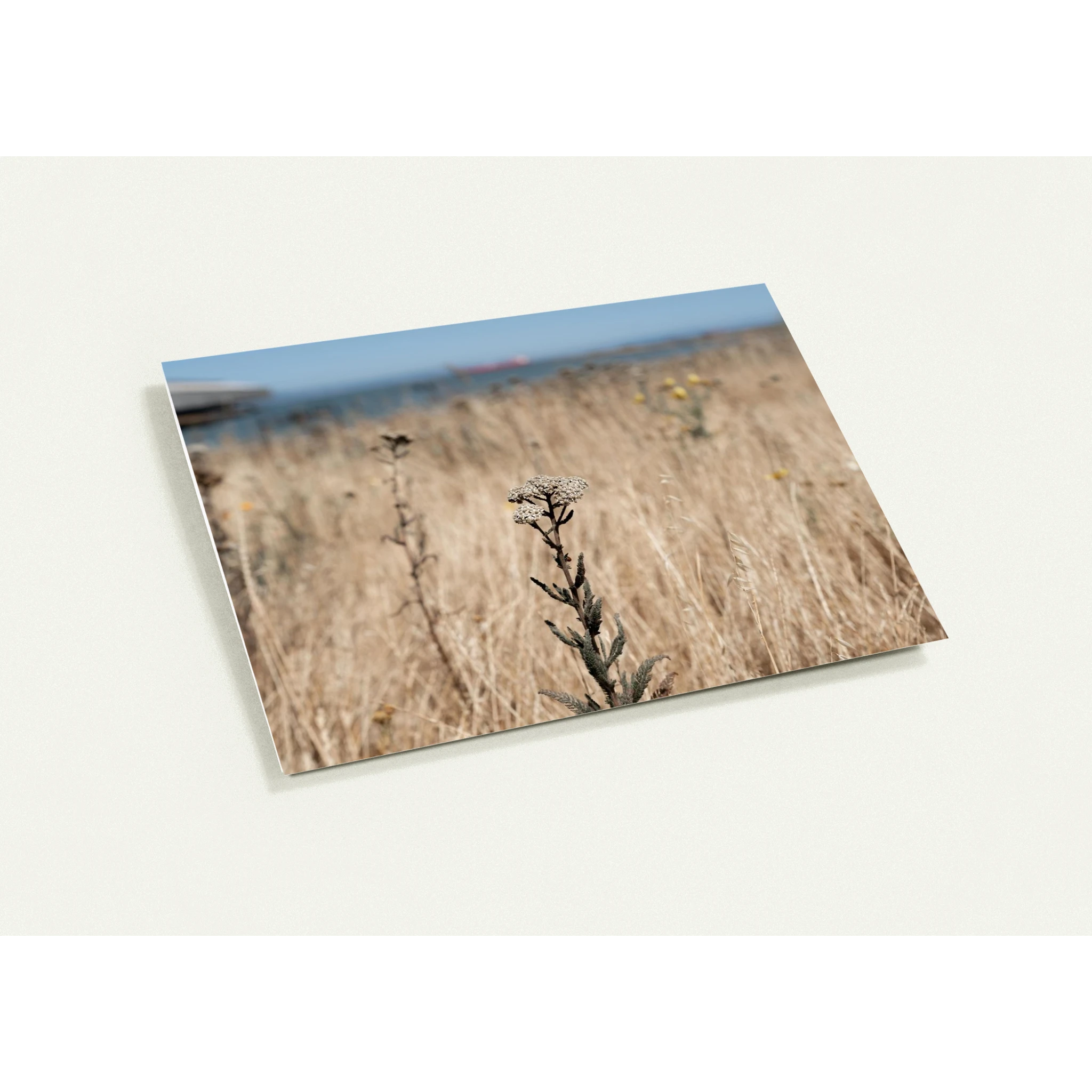 f741be5d-590a-4ee3-a131-ef2183d70b94