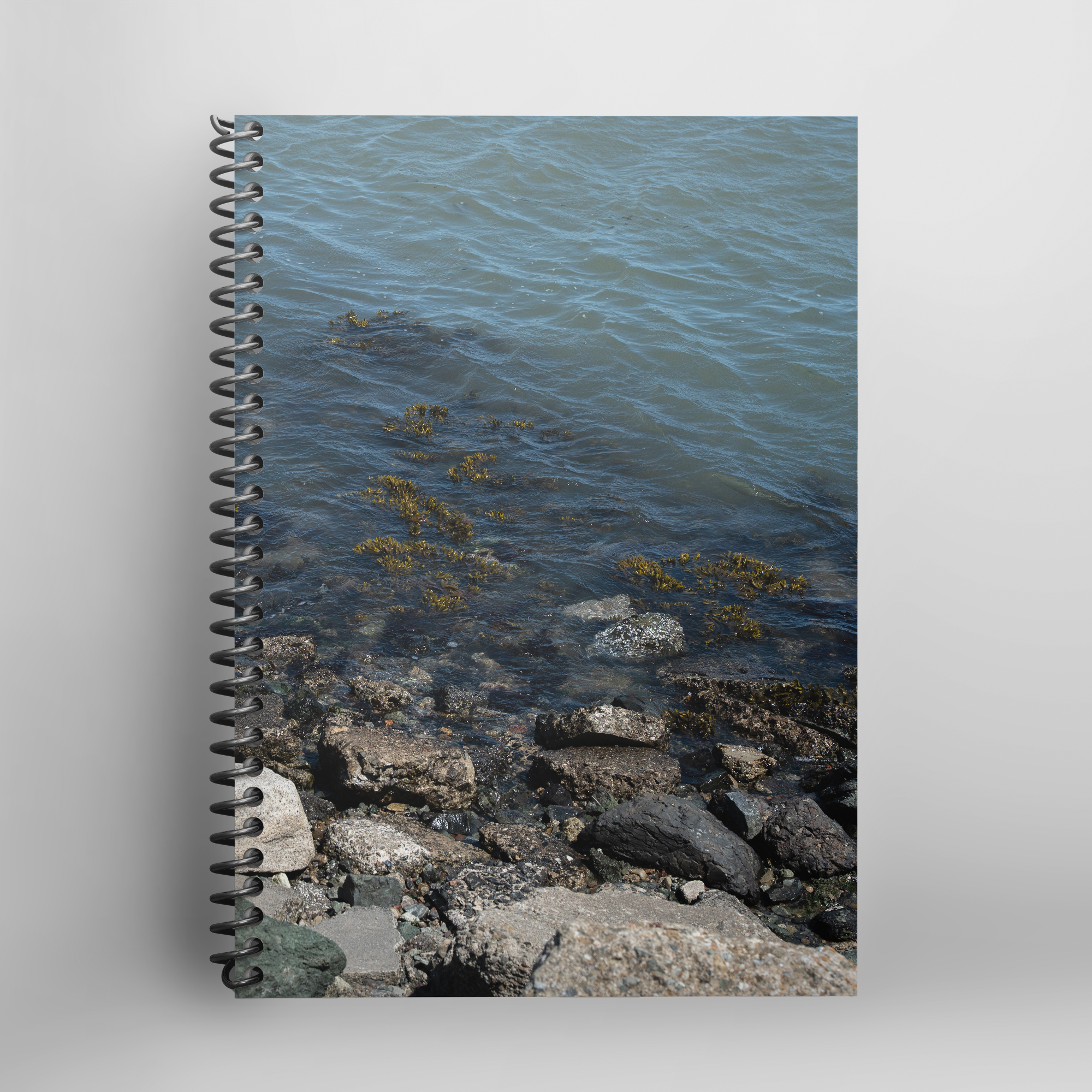 Daily Wellness Planner – Basin of Beauty 15 – Spiral-Bound Paperback – Intentions, Schedule, Priorities & To-Dos for Mindful Productivity (7x10 & A5 Sizes)